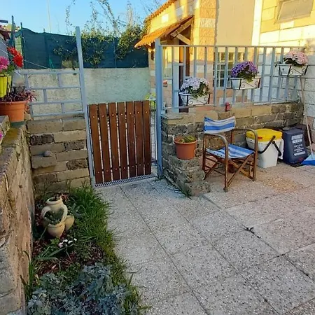Flower House Civitavecchia