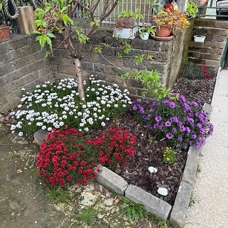 Apartamento Flower House