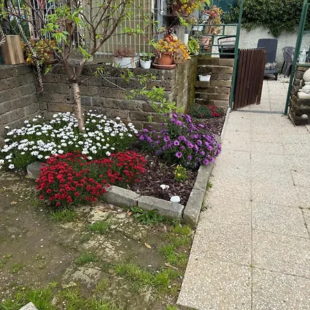 Flower House